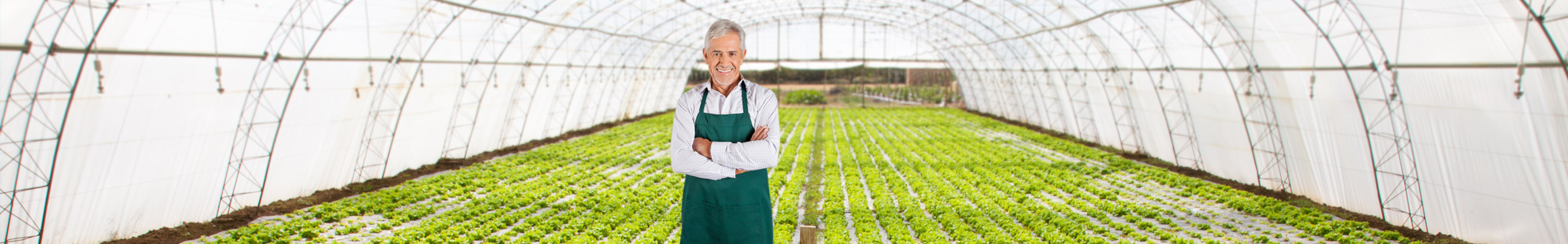 Seguros de salud para Pymes - iSalud